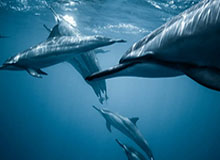 云开体育官网-开云在线——引领数字娱乐新潮流